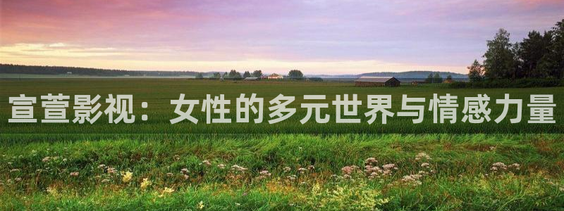 玫瑰的故事全能影视：宣萱影视：女性的多元世界与情感力量