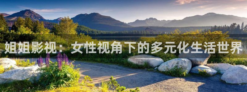 全能影视大全免费观看电视剧：姐姐影视：女性视角下的多元化生活世界