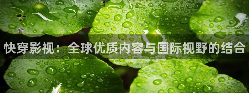 全能影视在线电视剧：快穿影视：全球优质内容与国际视野的结合