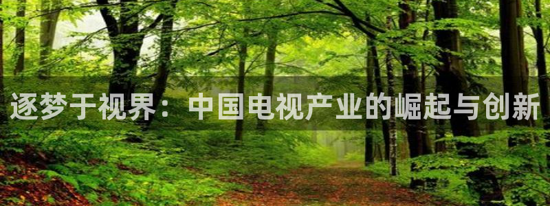 全能影院官网：逐梦于视界：中国电视产业的崛起与创新
