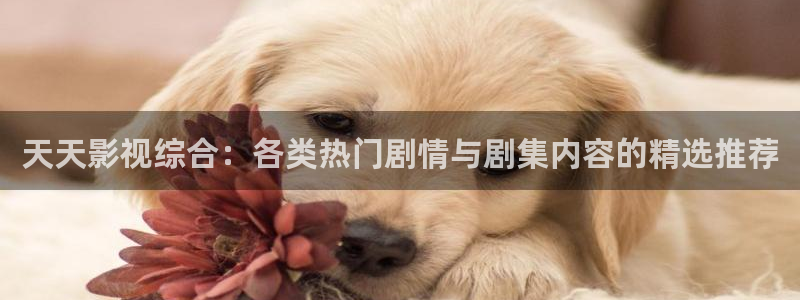 全能影视qnvod：天天影视综合：各类热门剧情与剧集内容的精选推荐