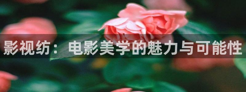 全能影视下载：影视纺：电影美学的魅力与可能性