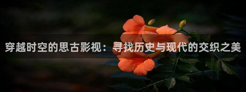 全能影视 下载：穿越时空的思古影视：寻找历史与现代的交织之美